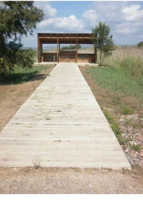 Apartamento Junto Al Mar Con Wifi Y Piscina Sagunto Bagian luar foto